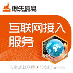 互联网接入服务